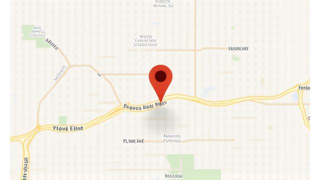 Map showing Phoenix Bloom's Austin office location at 789 Willow Creek Lane, Suite 200, Austin, TX, 78704.