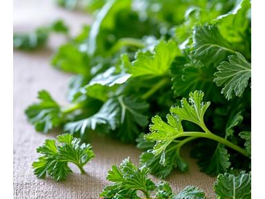 Fresh leafy greens and herbs, representing hormonal balance